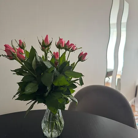 Private Sandyford 2-bed Nr Business Park & M50 דירה *